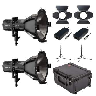 Новые товары - Hive Lighting HORNET 200-C Par Spot Omni-Color LED 2 Light Kit HLS2C-PS-2LKIT - быстрый заказ от производителя