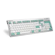 Новые товары - Logic Keyboard Mitel Telecom Keyboard, UK LKB-CMG-AJPU-UK - быстрый заказ от производителяНовые товары - Logic Keyboard Mitel Telecom Keyboard, UK LKB-CMG-AJPU-UK - быстрый заказ от производителя