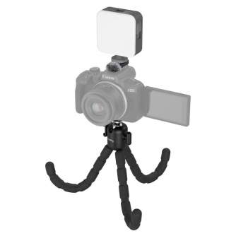 Mini foto statīvi - SMALLRIG 4213 VLOGGING TRIPOD KIT FOR CANON EOS R50 4213 - быстрый заказ от производителя