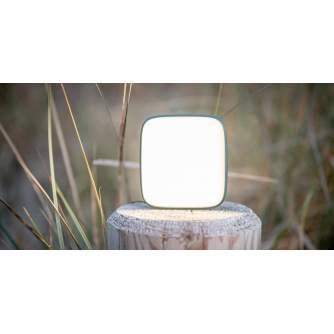 On-camera LED light - Lampa LED Newell Campina - grey - buy today in store and with delivery