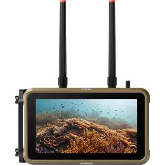 External LCD Displays - Atomos Ninja 2023 (ATOMNJA004) - buy today in store and with delivery