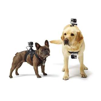 Accessories for Action Cameras - GOPRO FETCH (DOG HARNESS) - quick order from manufacturer