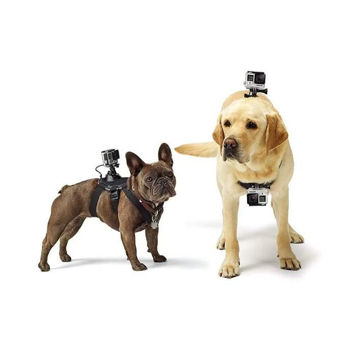 Аксессуары для экшн-камер - GOPRO FETCH (DOG HARNESS) - быстрый заказ от производителя
