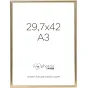 Photo Frames - FOCUS CAN-CAN SHINY GOLD 29,7X42 (A3) 114227 - quick order from manufacturer