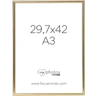 Photo Frames - FOCUS CAN-CAN SHINY GOLD 29,7X42 (A3) 114227 - quick order from manufacturerPhoto Frames - FOCUS CAN-CAN SHINY GOLD 29,7X42 (A3) 114227 - quick order from manufacturer
