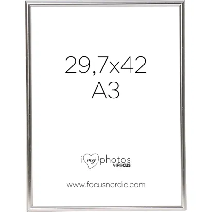 FOCUS CAN-CAN SHINY SILVER 29,7X42 (A3) 114235