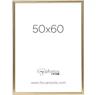 Sortimenta jaunumi - FOCUS CAN-CAN SHINY GOLD 50X60 114229 - ātri pasūtīt no ražotājaSortimenta jaunumi - FOCUS CAN-CAN SHINY GOLD 50X60 114229 - ātri pasūtīt no ražotāja