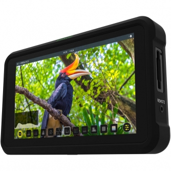 External LCD Displays - Atomos Shinobi 5.2" 4K HDMI Monitor ATOMSHBH01 - buy today in store and with delivery