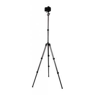 Photo Tripods - Fotopro D-5 tripod with ball head FPH-42Q - quick order from manufacturer