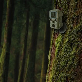 Time Lapse Cameras - Braun track camera Scouting Cam Black800 Mini - quick order from manufacturer