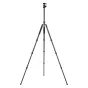 Штативы для фотоаппаратов - Tripod Fotopro X-go Plus with FPH-52Q ball head - быстрый заказ от производителя