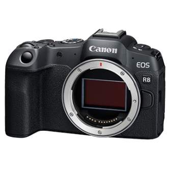 Canon EOS R8 беззеркальная камера с полным сенсором 24.2Mpx 4K 60p аренда