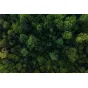DJI Droni - DJI Mavic 3 Pro Fly More Combo ar DJI RC ekrāna tālvadības pulti + 2 akkumulatori, - ātri pasūtīt no ražotāja