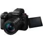 Bezspoguļa kameras - Panasonic Premium Panasonic Lumix G9 II LEICA ES12060E (DC-G9M2LE) - ātri pasūtīt no ražotāja