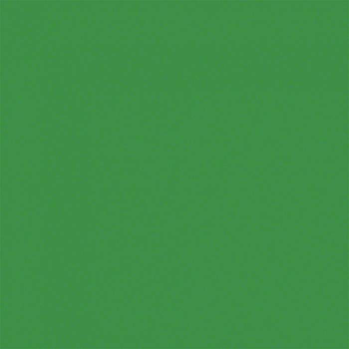 Фоны - Tetenal Background 2,72x11m, Tech Green - быстрый заказ от производителя