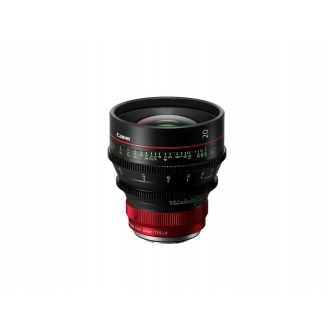 CINEMA Video Lenses - Canon CN-R20MM T1.5 L F (6399C006) - quick order from manufacturer