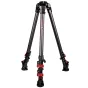 iFootage Wildbull Tripod T7S-Carbon Fiber tripod with red buckle locks, adjustable legs, and quick-release plate for stable video filming