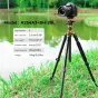 K&F Concept K254A3 tripod with BH-28L ball head supporting a Canon DSLR on a grassy bank beside a pond, showcasing its 171 cm max height, 44 cm folded length and 10 kg load capacity