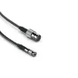 Video vadi, kabeļi - Blackmagic Design Blackmagic Micro BNC to BNC Female Cable 700mm - быстрый заказ от производителя