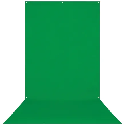Westcott X-Drop Wrinkle-Resistant Backdrop - Green Screen Sweep (5 x 12) 579S
