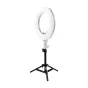 Caruba LS-50 50cm ring light tripod with a white illuminated circular lamp mounted on a black three-leg stand, max height 50 cm, supports up to 3 kg, ideal for various lighting setups