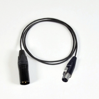 Canare Mini XLR (F) / XLR (M) audio cable - 0,3m CA-202-MF/M-03