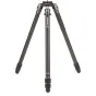 Foto statīvi - Benro Mammoth 3-Section Carbon Fiber Tripod - быстрый заказ от производителя