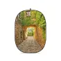Godox Collapsible Backdrop CBA-CS0002 CBA CS0002