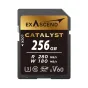 ExascendCatalystUHS-IISDkarte,V60,256GBEX256GSDV60