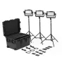 Vairs neražo - Litepanels Astra IP Half Traveler Trio LED Panel GM&VM Kit (936-0103)