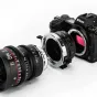 Objektīvu adapteri - Meike MK PLTZ C Drop in Filter Mount Adapter MK PLTZ C - ātri pasūtīt no ražotāja