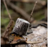 Камуфляж - Caruba Camouflage Wrap Tape 4 Pack Riet CWT 4PR - быстрый заказ от производителяКамуфляж - Caruba Camouflage Wrap Tape 4 Pack Riet CWT 4PR - быстрый заказ от производителя