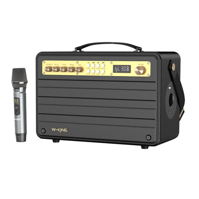Skaļruni - Wireless Bluetooth Speaker W-KING K6S 100W (black) K6S black - ātri pasūtīt no ražotāja
