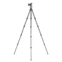 Foto statīvi - Leofoto Ranger LS-254C+LH-30 tripod - ātri pasūtīt no ražotāja
