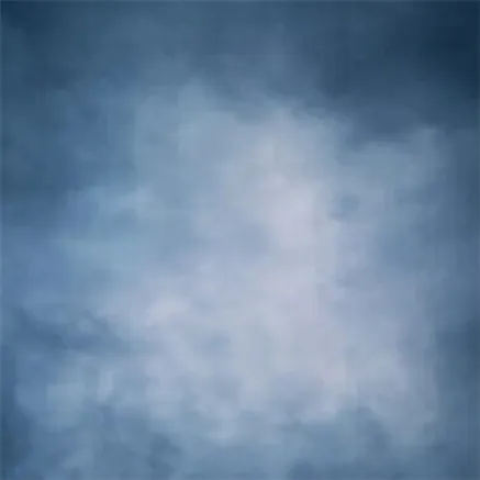 StudioKing Фоновая ткань BLA3 3x4 м с принтом