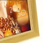 Foto rāmīši - Zep Photo Frame WT46G Wales Gold 10x15 cm - ātri pasūtīt no ražotāja