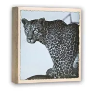 ZepWL57100AlbumSlip-in100photos13x19cm-12albumsZepWL57100AlbumSlip-in100photos13x19cm-12albums