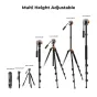 Video Tripods - K&F Concept K234A7 video tripod with FH-03 head, KF4384 - buy today in Master Foto store and with delivery