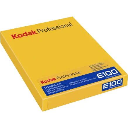 KODAK EKTACHROME E100 8X10 10 ЛИСТОВ 1069822