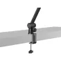 Mikrofonu aksesuāri - SMALLRIG 4303 MICROPHONE BOOM ARM DESK MOUNT 4303 - ātri pasūtīt no ražotāja