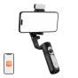 Camera stabilizer - Gimbal Hohem iSteady XE Kit iSXEK - quick order from manufacturer