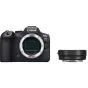 Mirrorless Cameras - Canon EOS R6 Mark II + Mount Adapter EF-EOS R - quick order from manufacturer