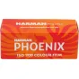 Photo films - HARMAN PHOTO HARMAN PHOENIX ISO 200 120 FILM 1182175 - quick order from manufacturer