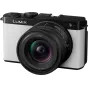 Bezspoguļa kameras - PANASONIC LUMIX S9 SMOKEY WHITE 18-40MM F/4.5-6.3 DC-S9NE-W - быстрый заказ от производителя