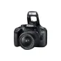 Photo & Video Equipment - Canon EOS 4000D EF-S 18-55mm 3.5-5.6 III rental