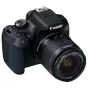 Photo & Video Equipment - Canon EOS 1300D EF-S 18-55mm 3.5-5.6 IS II rent