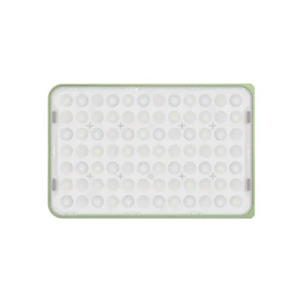 Amaran ACE 25x Bi-Color LED Light Green