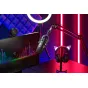 Sortimenta jaunumi - Razer microphone Seiren V2 Pro, black RZ19-04040100-R3M1 - ātri pasūtīt no ražotāja