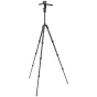 Foto statīvi - Manfrotto tripod kit MKBFRTC4GTFB-3W Befree GT PRO 3-Way FB MKBFRTC4GTFB-3W - ātri pasūtīt no ražotāja