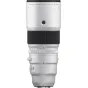 Sortimenta jaunumi - Fujifilm Fujinon XF 500mm f/5.6 R LM OIS WR lens 16900408 - быстрый заказ от производителя